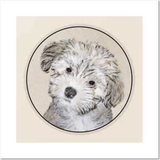 Havanese Puppy Posters and Art